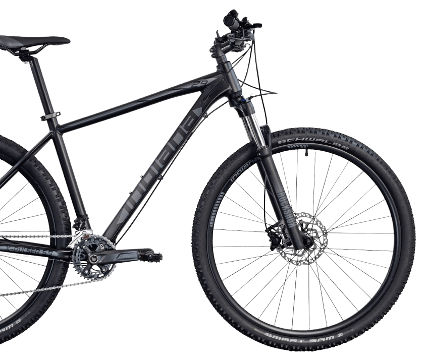 X-PULSER 5.9